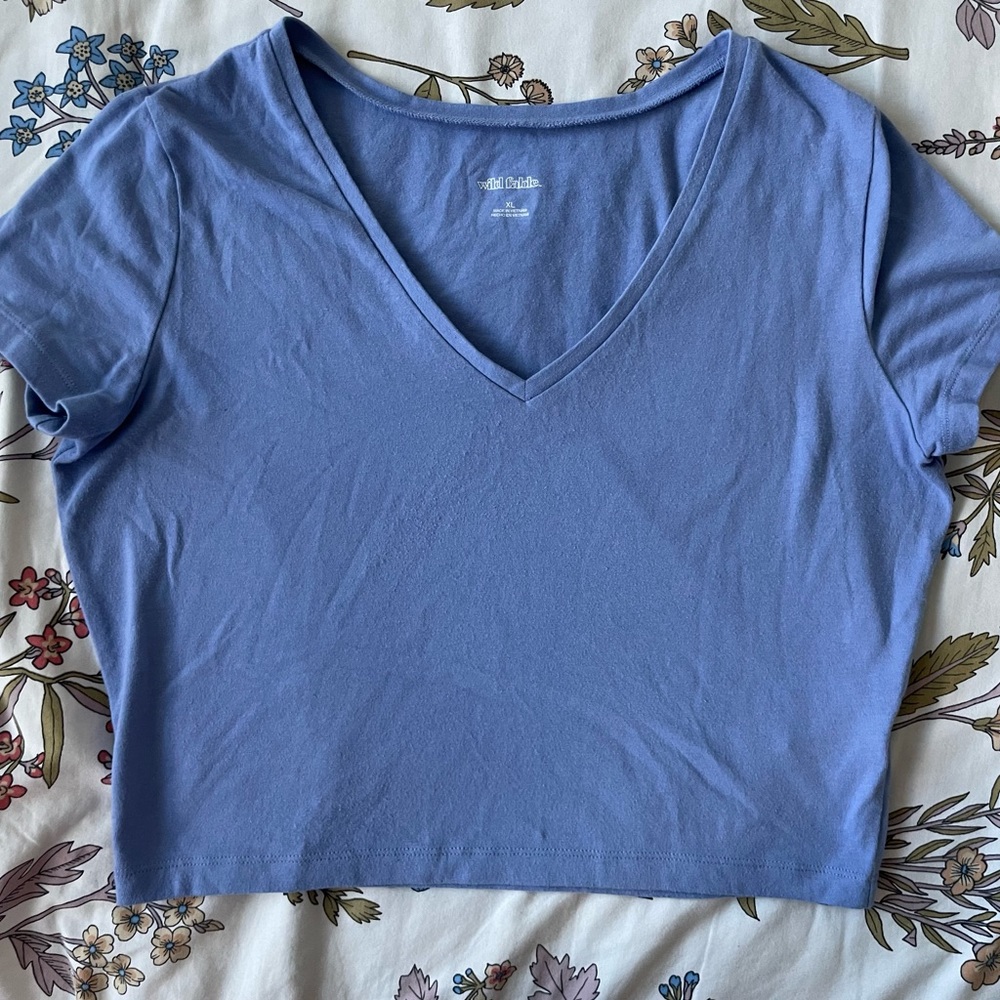 Wild fable cropped tee